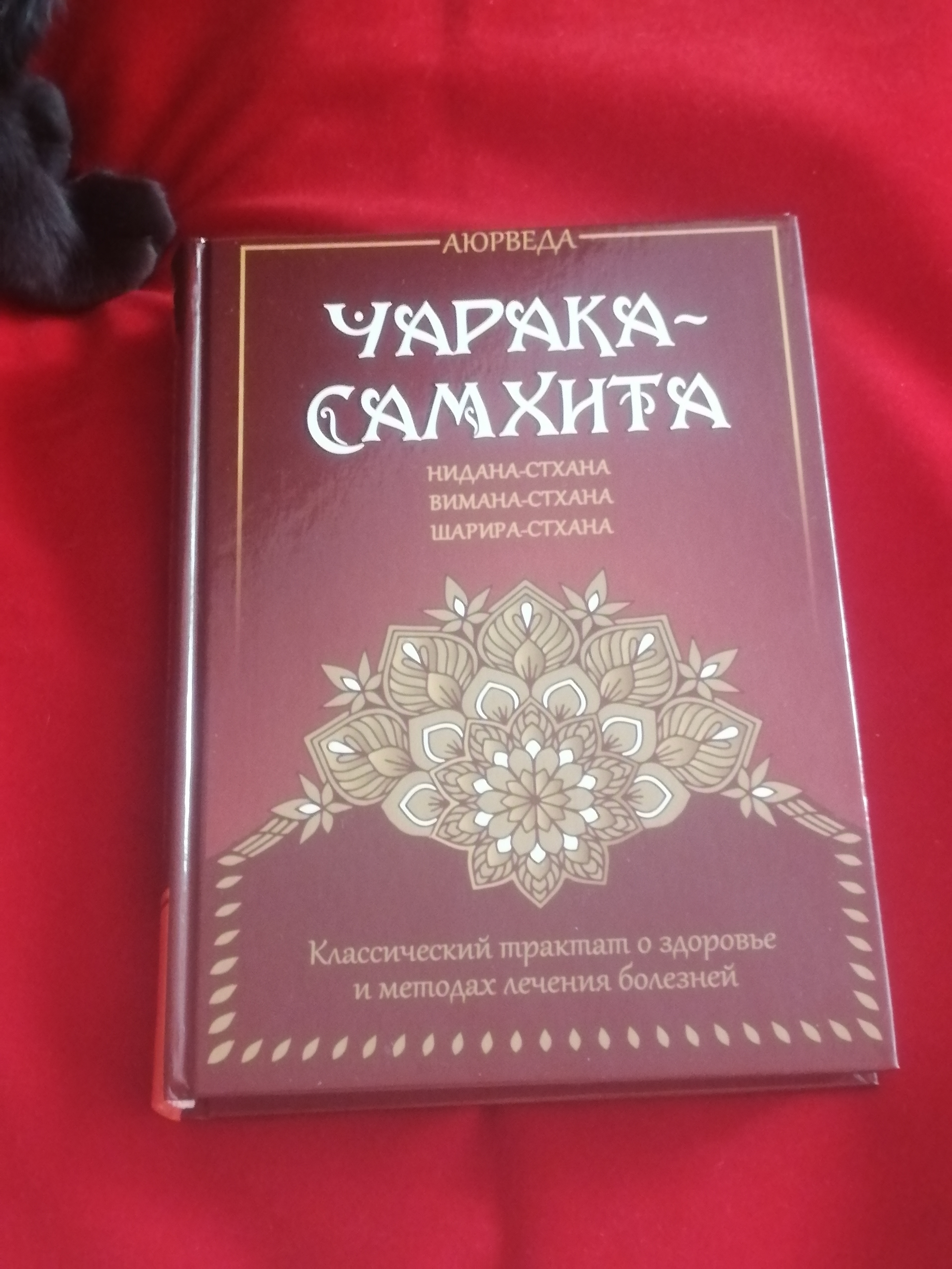 Онлайн-консультация на ноутбуке